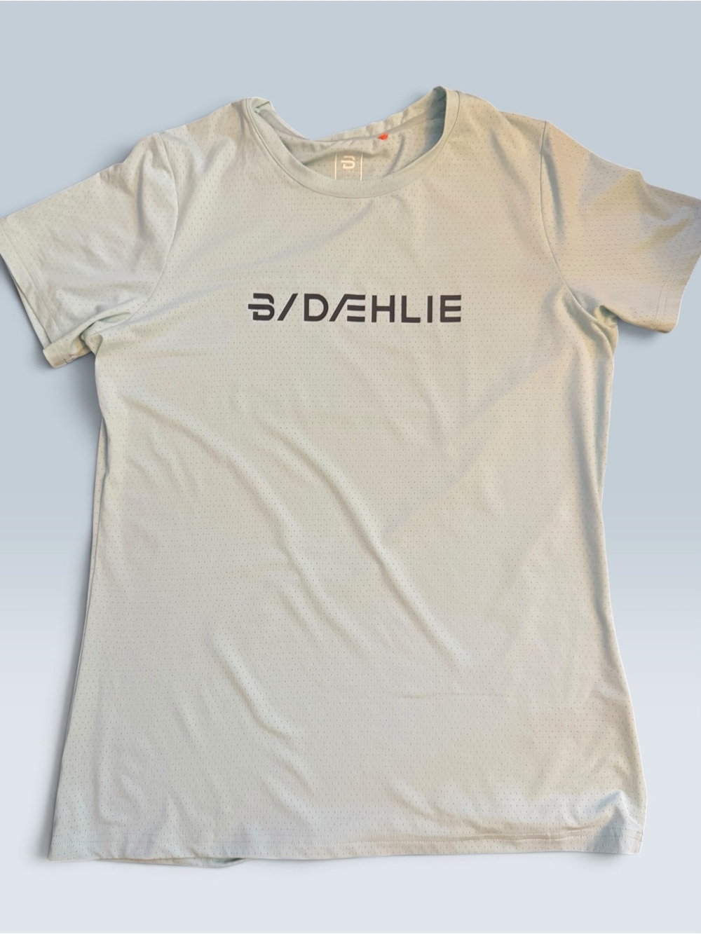 Daehlie Women’s L Running Athletic Tee Light Blue Mesh Quick Dry